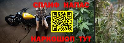 apvp Будённовск
