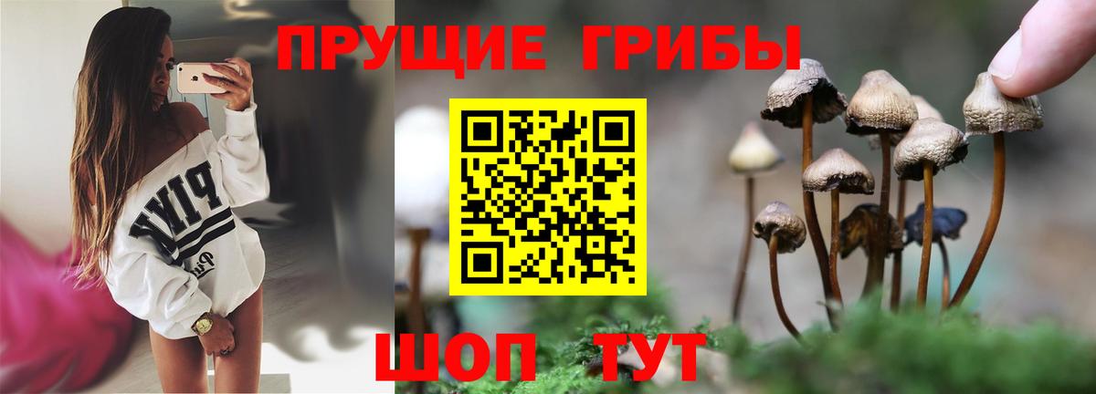 Псилоцибиновые грибы Magic Shrooms Ростов-на-Дону